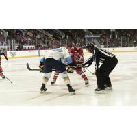 Kalamazoo Wings face off with the Toledo Walleye