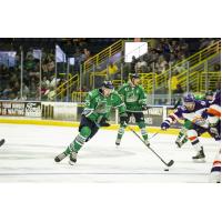 Florida Everblades John McCarron