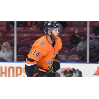 Greenville Swamp Rabbits forward Travis Howe