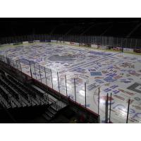 Quad City Storm Salute to Military Ice Painting