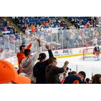 Flint Firebirds fans cheer on the team