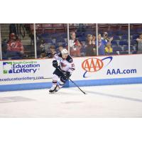South Carolina Stingrays forward Stephane Legault