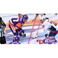 Orlando Solar Bears faceoff