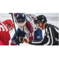 ECHL linesman Michael Miggans (right)