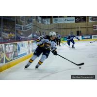 Erie Otters defenseman Luke Beamish