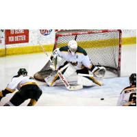 Prince George Cougars goaltender Carter Woodside