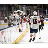 Aleksi Saarela receives congratulations from the Springfield Thunderbirds bench