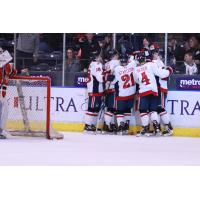 Amarillo Bulls celebrate a goal against the Corpus Christi IceRays