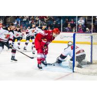 Dmitry Sokolov Prepares to Poke the Puck Home against the Rapid City Rush