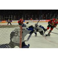 Saint John Sea Dogs goaltender Zachary Bouthillier defends against the Halifax Mooseheads