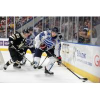 Kalamazoo Wings forward Yannick Veilleux (right) vs. the Wheeling Nailers