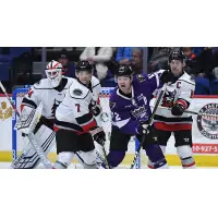 Adirondack Thunder goaltender Eamon McAdam and his defense try to keep the Reading Royals at bay