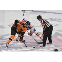 Lehigh Valley Phantoms forward Mikhail Vorobyev faces off against the Bridgeport Sound Tigers