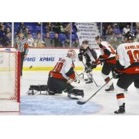 Vancouver Giants defenceman Dylan Plouffe (background) scores against the Medicine Hat Tigers