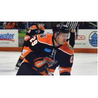 Fort Wayne Komets forward MasonÃ¢Â€ÂˆBergh