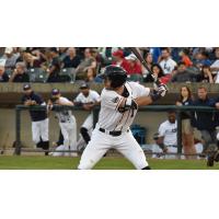 Somerset Patriots infielder Will Kengor