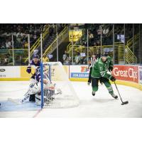 John McCarron (25) of the Florida Everblades against the Orlando Solar Bears
