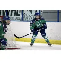 Connecticut Whale in action
