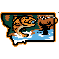Missoula PaddleHeads state logo