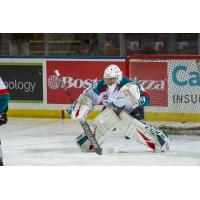Kelowna Rockets goaltender James Porter