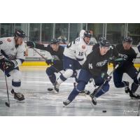 Maine Mariners forward Ted Hart (14)