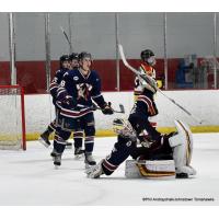 Johnstown Tomahawks goaltender David Tomeo