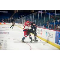 The Tulsa Oilers battle the Allen Americans up against the boards
