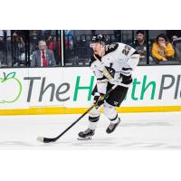 Wheeling Nailers forward Jan Drozg