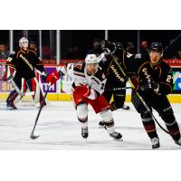 Grand Rapids Griffins right wing Chris Terry (center) against the Cleveland Monsters
