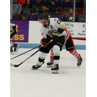 Muskegon Lumberjacks forward Harrison Roy
