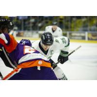 Florida Everblades forward John McCarron (back) faces off with the Orlando Solar Bears