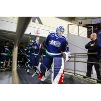 Maine Mariners goaltender Tom McCollum