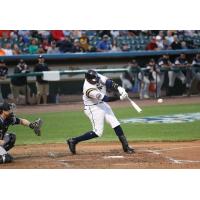 York Revolution first baseman Telvin Nash
