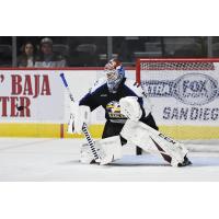 Colorado Eagles goaltender Adam Werner