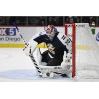 Colorado Eagles goaltender Adam Werner
