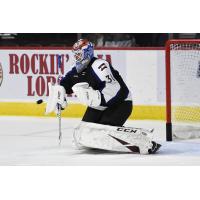 Colorado Eagles goaltender Adam Werner