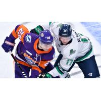 Orlando Solar Bears forward Hunter Fejes (left) vs. Florida Everblades forward Jack Nevins