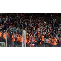 Orlando Solar Bears fans cheer on their team