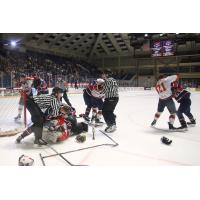 Macon Mayhem brawl with the Peoria Rivermen