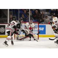 Lukas Svejkovsky of the Vancouver Giants (black) scores against the Portland Winterhawks