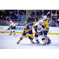 Atlanta Gladiators battle the Newfoundland Growlers
