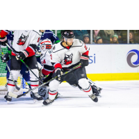 Adirondack Thunder forward Robbie Payne