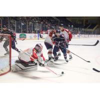 Peoria Rivermen goaltender Jeremy Brodeur knocks aside a Macon Mayhem shot