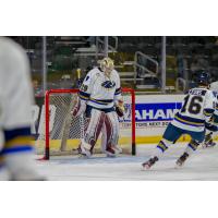 Sioux Falls Stampeded goaltender Grant Adams