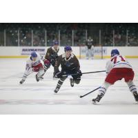 Tri-City Storm defenseman Kyle Aucoin vs. the Des Moines Buccaneers