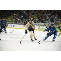 Florida Everblades right wing Justin Auger vs. the Jacksonville IceMen