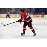 Belleville Senators defenseman Max Lajoie