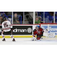 Vancouver Giants goaltender Trent Miner makes a stop against the Portland Winterhawks