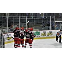Port Huron Prowlers celebrate a goal