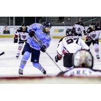 Blake Young of the Pensacola Ice Flyers